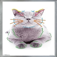 Мачка-Смешни Лице Ѕид Постер, 22.375 34