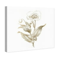 Студио Винвуд Студио Флорална и ботаничка wallидна уметност платно ги отпечати „прекрасната дама“ цвеќиња - злато, бело