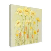Трговска марка ликовна уметност „мека пролетна цвеќарка i“ платно уметност од Тим Отоли