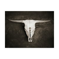 Трговска марка ликовна уметност „Сепија добиток череп“ Арт од Брук Т. Рајан