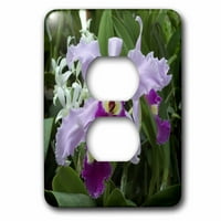3дроза Орхидеи-Приклучок Излез Капак