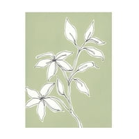 Регина Мур „Ботанички цртеж I“ платно уметност