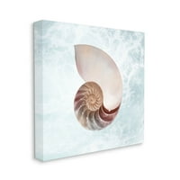 Sumpell Industries Aquatic Nautilus Spiral Seashell Graphic Art Gallery завиткана платно печатена wallидна уметност, дизајн