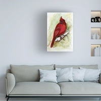 Ајлин Херб-Вит „кардинал на снежната гранка“ платно уметност