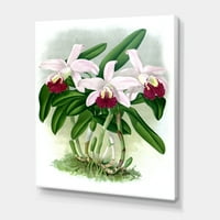 DesignArt 'Бела гроздобер орхидеја цвет i' традиционална печатење на wallидови од платно